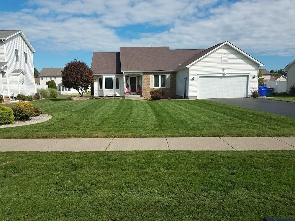 A freshly mowed lawn with crisp mowing stripes in front of a Rochester home